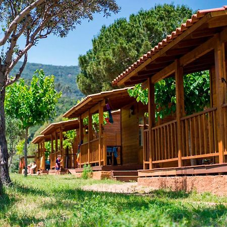 卡尔德斯德蒙特维 Camping El Pasqualet酒店 外观 照片